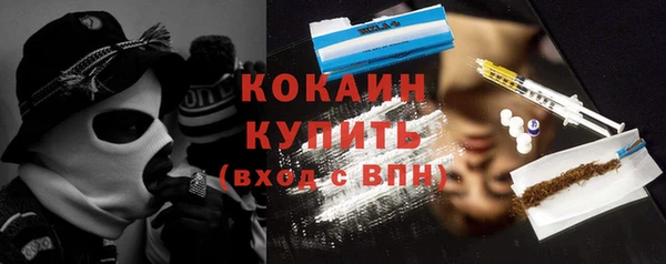 гидра Надым
