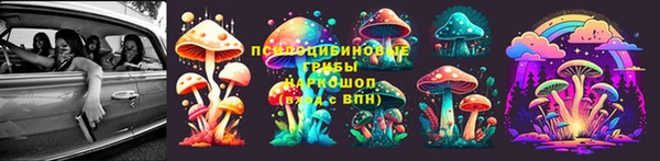 крисы Алзамай