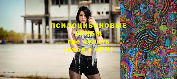 крисы Алзамай